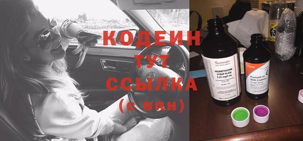 трава Сатка