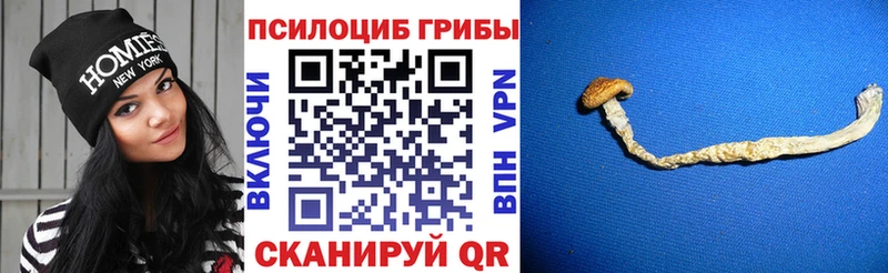 Псилоцибиновые грибы Magic Shrooms  Анива 